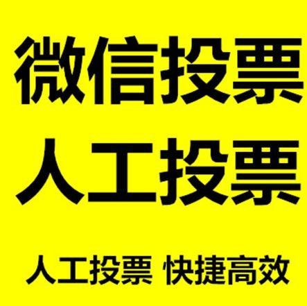 湖北省投票活动拉票能被查出来吗？如何操作能不被发现？